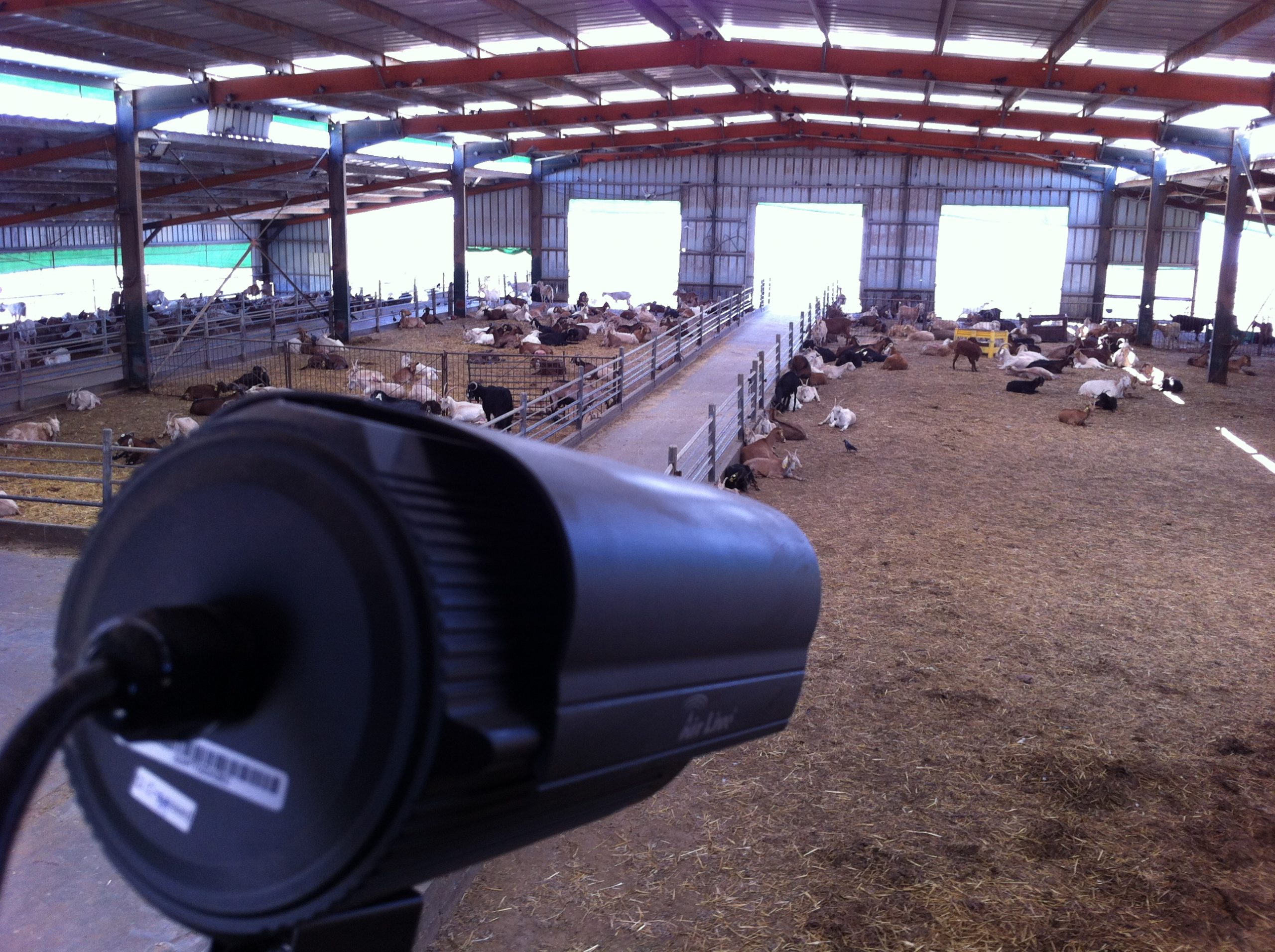 Wireless Network for Internet Access and Video Security Solution in a Farm